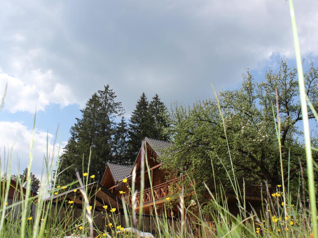 Krym Hotel Jaremcse Kültér fotó